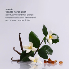 Load image into Gallery viewer, dry shampoo