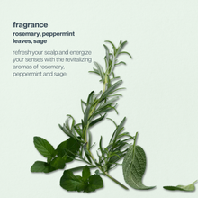 Load image into Gallery viewer, energizing blend hair thickener scalp treatment