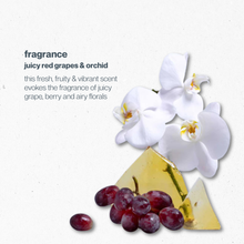 Load image into Gallery viewer, icy blond summer mini kit