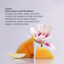 Load image into Gallery viewer, Melon slices and a flower with descriptive text about fragrance on a light gray background
