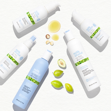 Load image into Gallery viewer, no frizz allowed amazing anti-humidity spray