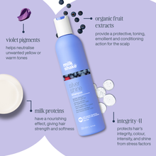 Load image into Gallery viewer, silver shine shampoo