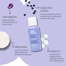 Load image into Gallery viewer, silver shine shampoo mini