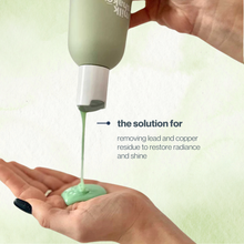 Load image into Gallery viewer, deep detox shampoo mini
