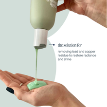 Load image into Gallery viewer, deep detox shampoo
