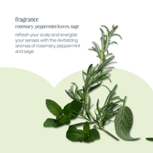 Load image into Gallery viewer, energizing blend hair thickener scalp treatment
