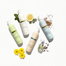 Load image into Gallery viewer, purifying blend shampoo
