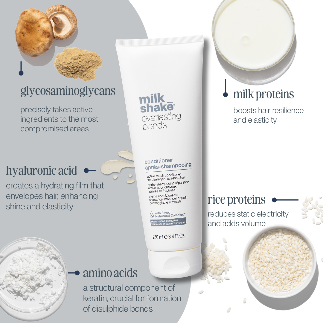 everlasting bonds conditioner