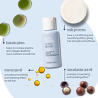 no frizz allowed perfecting conditioner mini