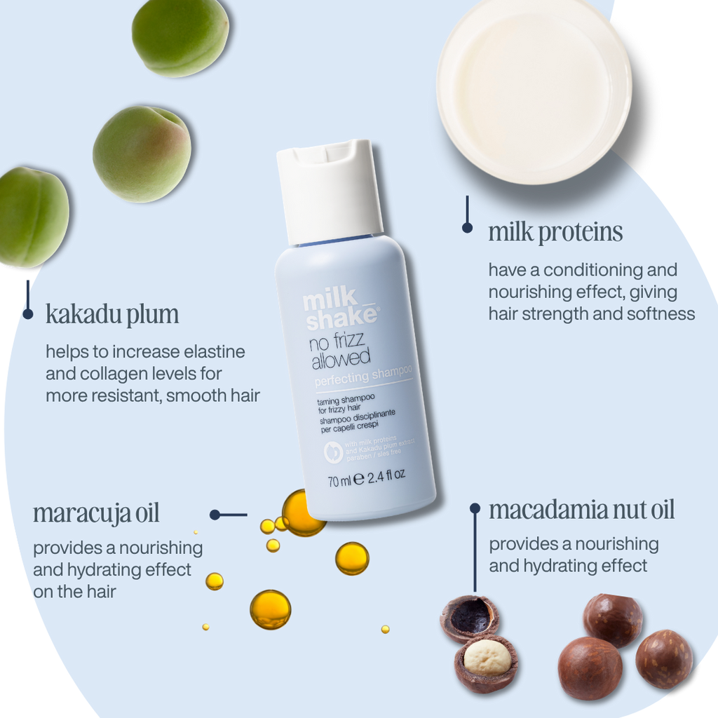 no frizz allowed perfecting shampoo mini