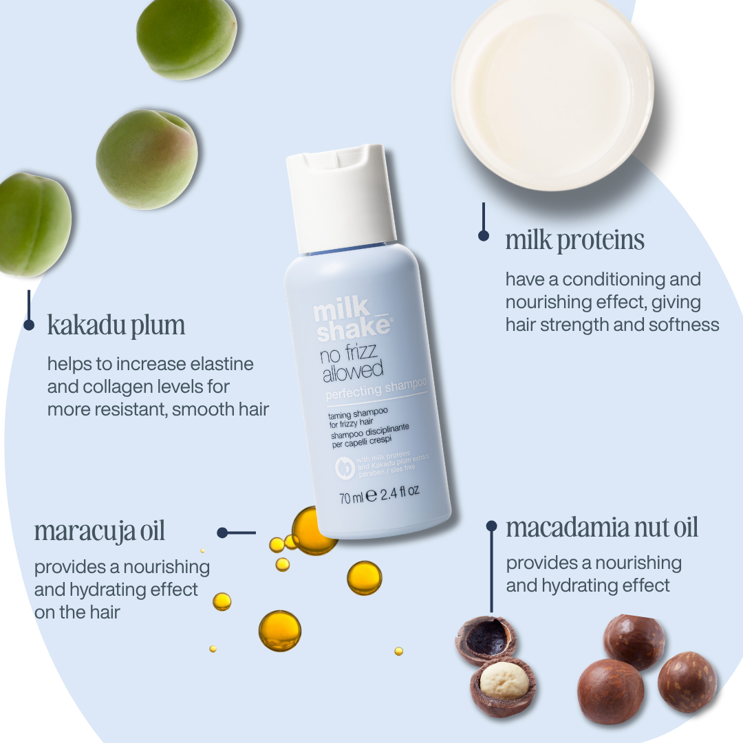 no frizz allowed perfecting shampoo mini