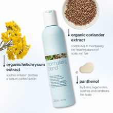 Load image into Gallery viewer, normalizing shampoo
