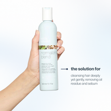 Load image into Gallery viewer, normalizing shampoo
