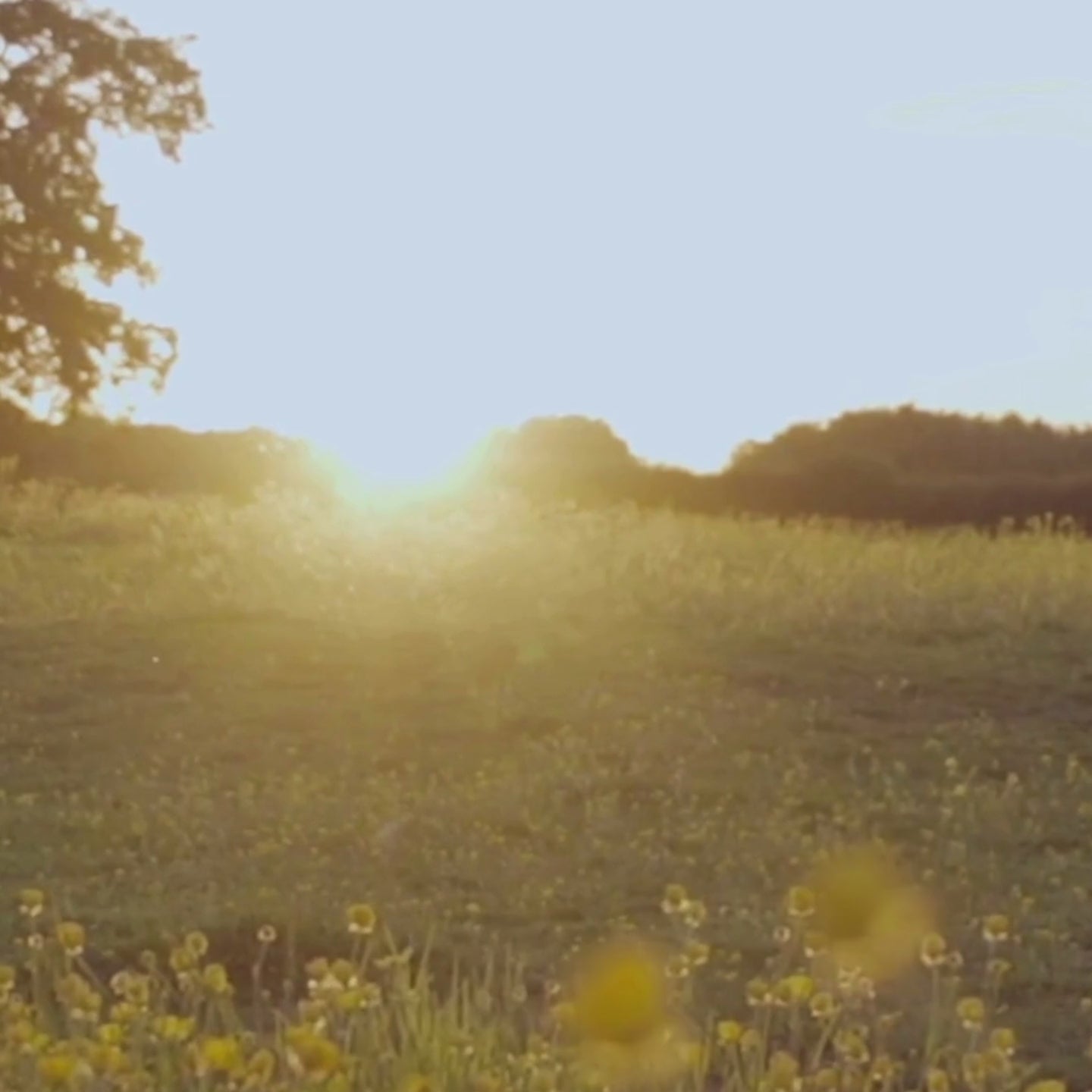 milk_shake model reel - focusing on that feel good feeling