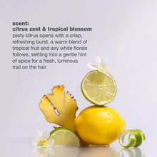 Load image into Gallery viewer, shaping foam
