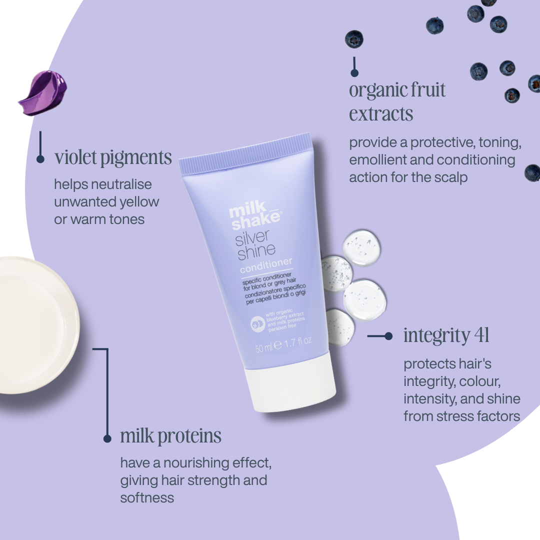 silver shine conditioner mini