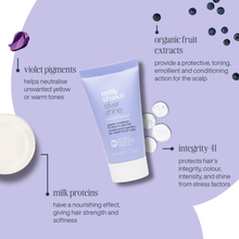 Load image into Gallery viewer, silver shine conditioner mini

