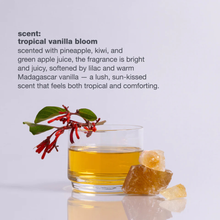 Load image into Gallery viewer, Glass of yellow liquid with a tropical vanilla bloom and ginger root on a light gray background
